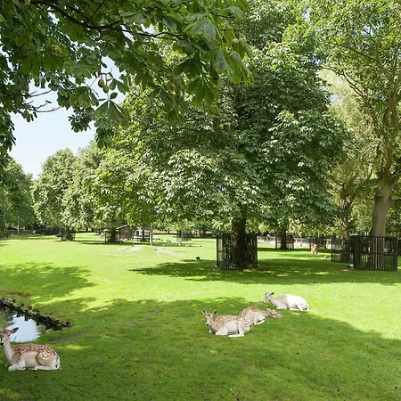 In With Terrace Ferienhaus