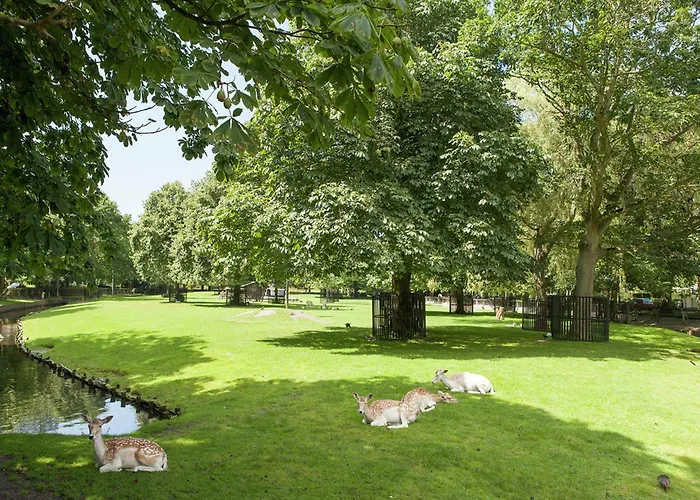 In With Terrace Nyaraló