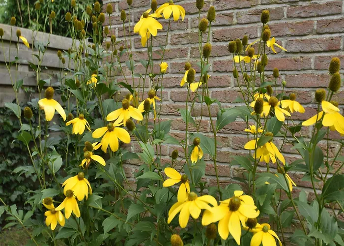 Сasa de vacaciones In With Terrace *